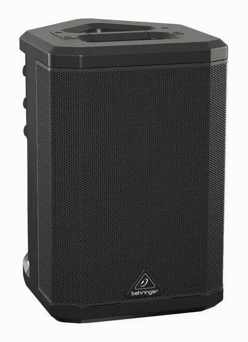 Behringer B1C, face arrière et connectique, photo 3