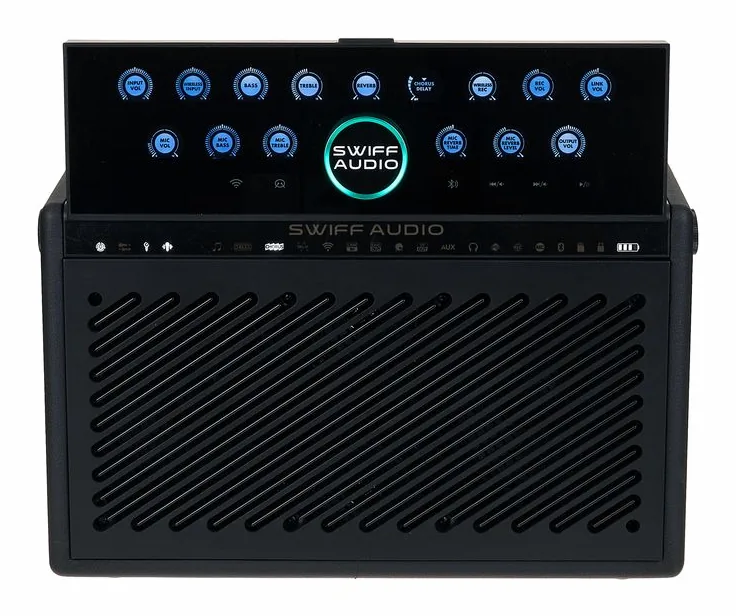Swiff Audio S100, face arrière et connectique, photo 2